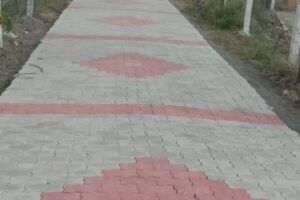 IMG-20251117-WA0007