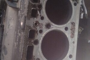 IMG-20260121-WA0004